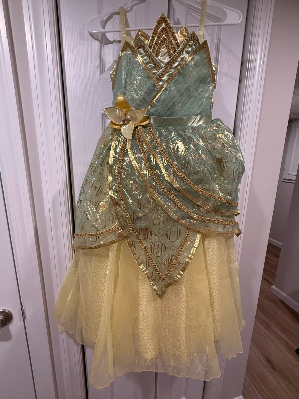 Disney Authentic Bippidi Bobbidi Boutique Deluxe Tiana Dress
